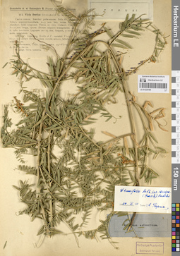 LE 01225198