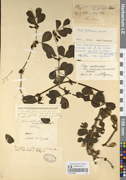 LE 01225203