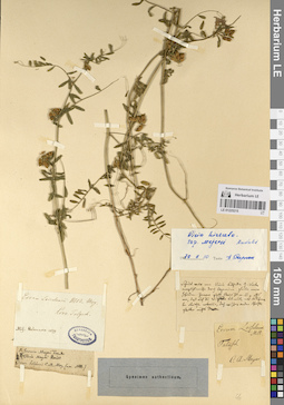LE 01225215