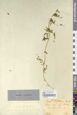 LE 01225216