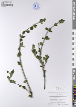 LE 01178169