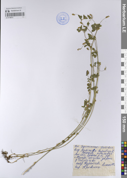 LE 01189312