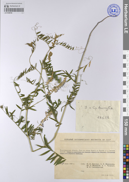LE 01208166