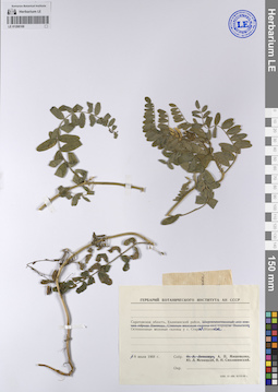 LE 01208169