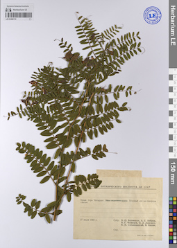 LE 01208172