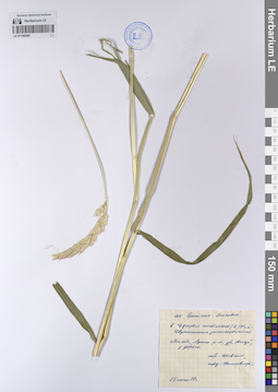 LE 01189289