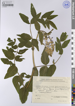 LE 01208792