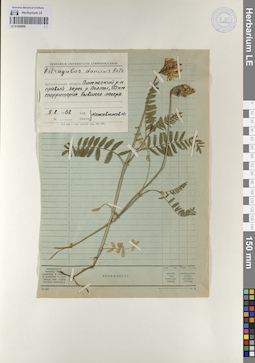 LE 01208908
