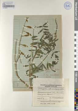 LE 01208912