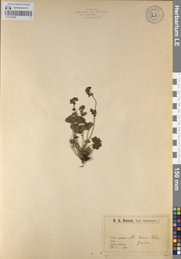 LE 01207058
