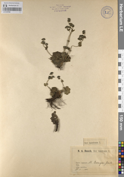 LE 01207060