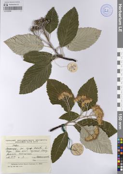LE 01207088