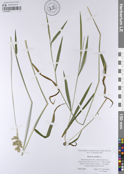LE 01207947