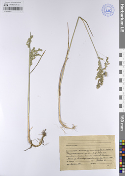 LE 01207978
