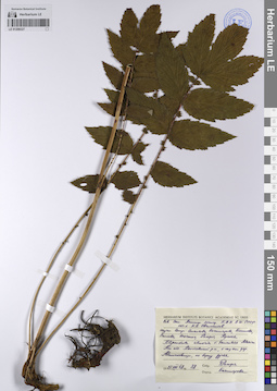 LE 01208327