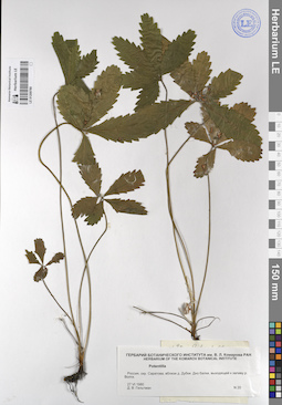 LE 01209780
