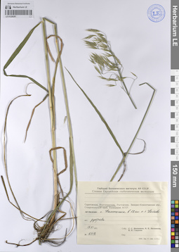 LE 01226291