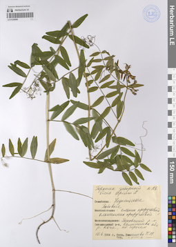 LE 01228560