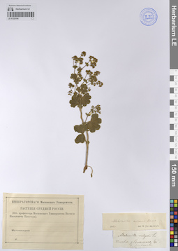 LE 01228104