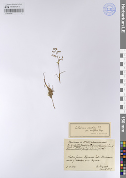 LE 01228193