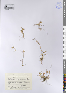 LE 01242189
