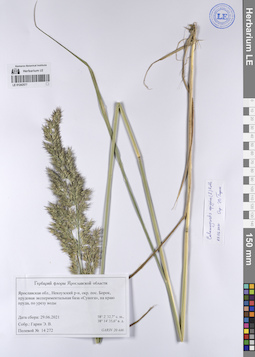 LE 01242577