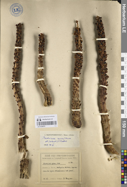 LE 01249570
