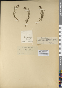 LE 01070930