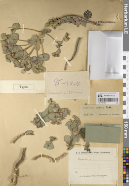 LE 01057262