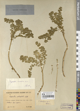 LE 01057267