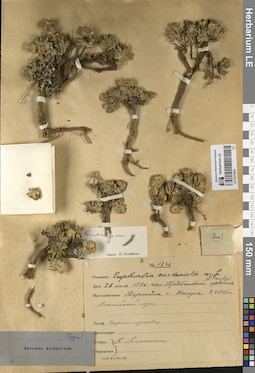 LE 01070943