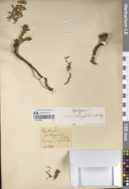 LE 01070945