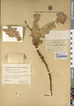 LE 01070946