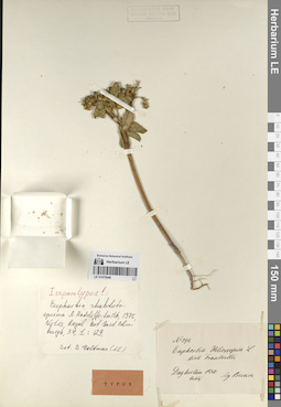 LE 01070948