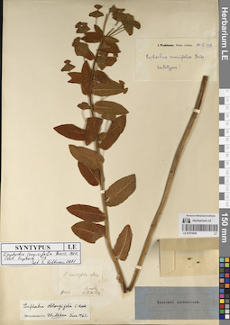 LE 01070949