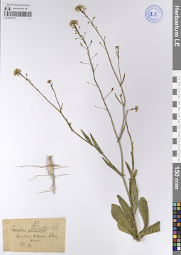 LE 01207175