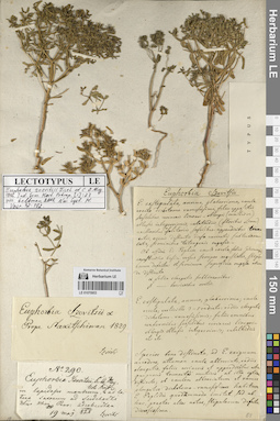 LE 01070953