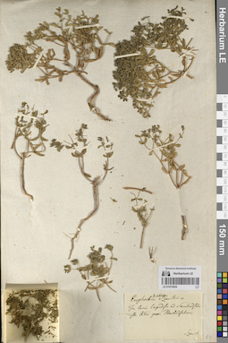LE 01070954