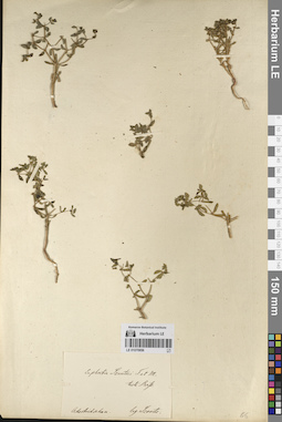 LE 01070956