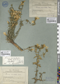 LE 01064375