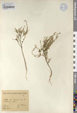 LE 01207189
