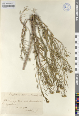 LE 01207191