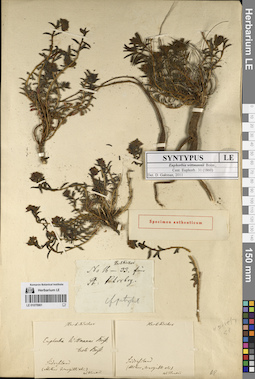LE 01070961