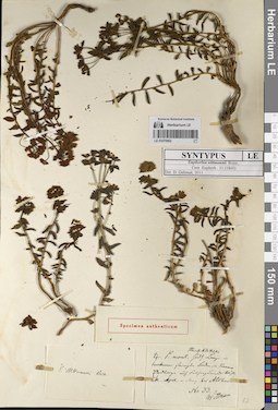 LE 01070962