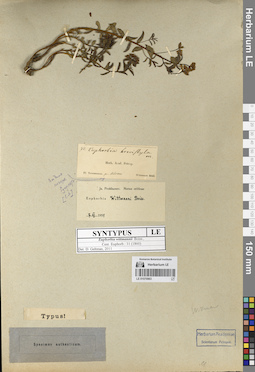 LE 01070963