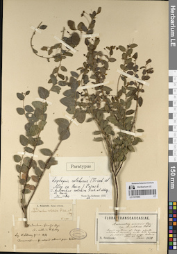 LE 01070965