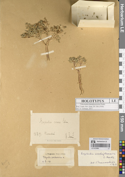 LE 01070969