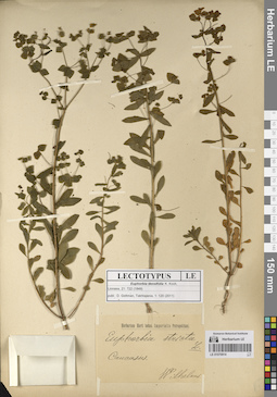 LE 01070914
