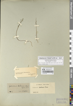 LE 01071320