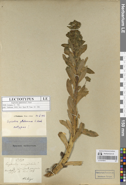 LE 01070916
